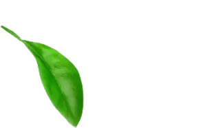Botanical Leaves Active Ingredient